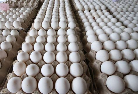 Eggs Price in Philippines .